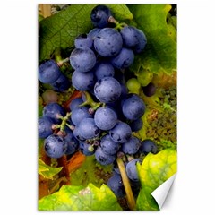 Grapes 1 Canvas 24  X 36  by trendistuff