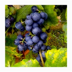 Grapes 1 Medium Glasses Cloth (2-side) by trendistuff