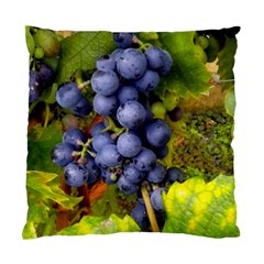 Grapes 1 Standard Cushion Case (one Side) by trendistuff