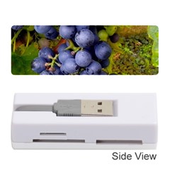 Grapes 1 Memory Card Reader (stick)  by trendistuff