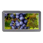 GRAPES 1 Memory Card Reader (Mini) Front