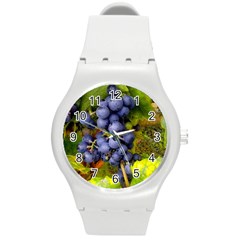 Grapes 1 Round Plastic Sport Watch (m) by trendistuff