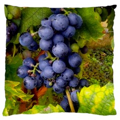 Grapes 1 Large Cushion Case (two Sides) by trendistuff