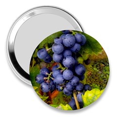 Grapes 1 3  Handbag Mirrors by trendistuff