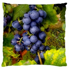 Grapes 1 Standard Flano Cushion Case (one Side) by trendistuff