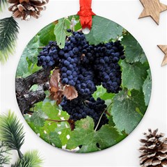 Grapes 3 Ornament (round) by trendistuff