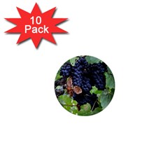 Grapes 3 1  Mini Buttons (10 Pack)  by trendistuff