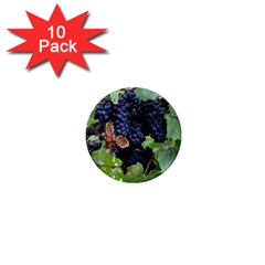 Grapes 3 1  Mini Magnet (10 Pack)  by trendistuff