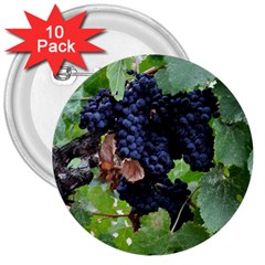 Grapes 3 3  Buttons (10 Pack)  by trendistuff