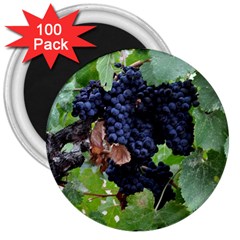 Grapes 3 3  Magnets (100 Pack) by trendistuff