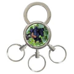 Grapes 3 3-ring Key Chains by trendistuff