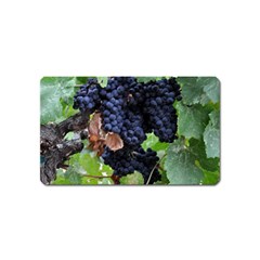 Grapes 3 Magnet (name Card) by trendistuff