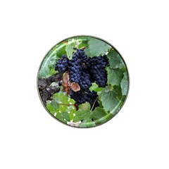 Grapes 3 Hat Clip Ball Marker (4 Pack) by trendistuff