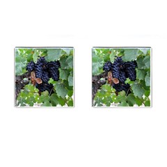 Grapes 3 Cufflinks (square) by trendistuff