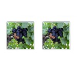 GRAPES 3 Cufflinks (Square) Front(Pair)