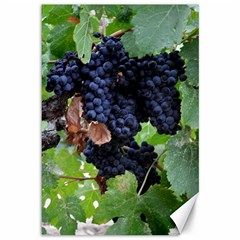 Grapes 3 Canvas 12  X 18   by trendistuff