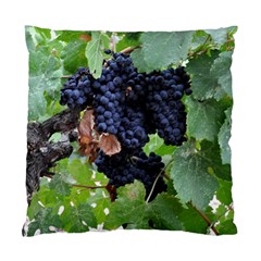 Grapes 3 Standard Cushion Case (two Sides) by trendistuff