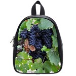 GRAPES 3 School Bag (Small)