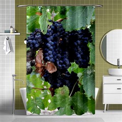 Grapes 3 Shower Curtain 48  X 72  (small)  by trendistuff