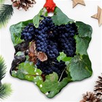 GRAPES 3 Snowflake Ornament (Two Sides)