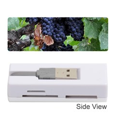 Grapes 3 Memory Card Reader (stick)  by trendistuff