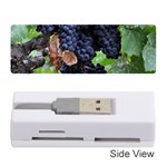 GRAPES 3 Memory Card Reader (Stick) 