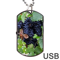 Grapes 3 Dog Tag Usb Flash (two Sides) by trendistuff