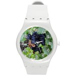 GRAPES 3 Round Plastic Sport Watch (M)