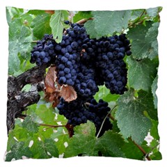 Grapes 3 Large Cushion Case (one Side) by trendistuff