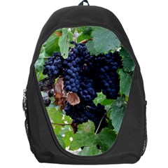 Grapes 3 Backpack Bag by trendistuff