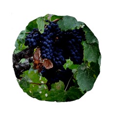 Grapes 3 Standard 15  Premium Round Cushions by trendistuff