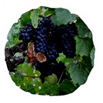 GRAPES 3 Large 18  Premium Round Cushions