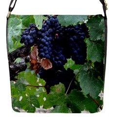 Grapes 3 Flap Messenger Bag (s) by trendistuff