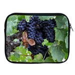 GRAPES 3 Apple iPad 2/3/4 Zipper Cases