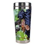 GRAPES 3 Stainless Steel Travel Tumblers