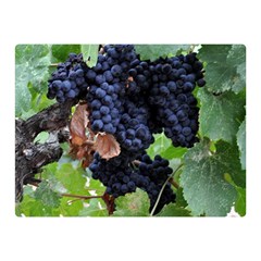 Grapes 3 Double Sided Flano Blanket (mini)  by trendistuff