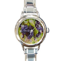 Grapes 4 Round Italian Charm Watch by trendistuff