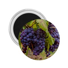 Grapes 4 2 25  Magnets by trendistuff