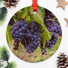 Grapes 4 Ornament (round) by trendistuff