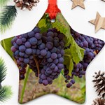 GRAPES 4 Ornament (Star) Front