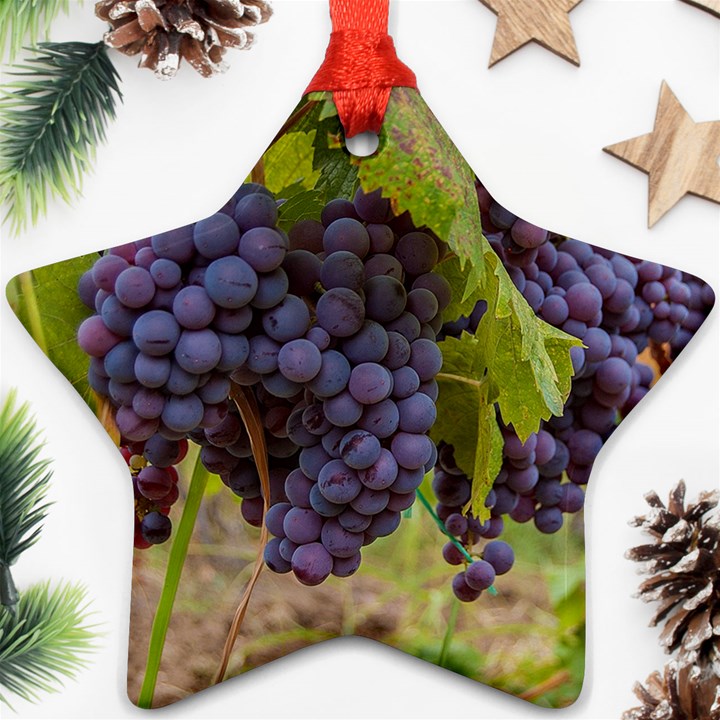 GRAPES 4 Ornament (Star)