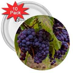 Grapes 4 3  Buttons (10 Pack)  by trendistuff