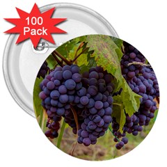 Grapes 4 3  Buttons (100 Pack)  by trendistuff