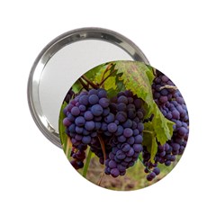 Grapes 4 2 25  Handbag Mirrors by trendistuff