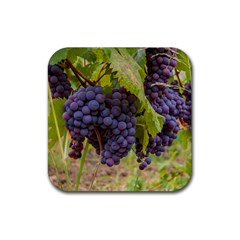 Grapes 4 Rubber Coaster (square)  by trendistuff