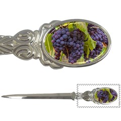 Grapes 4 Letter Openers by trendistuff