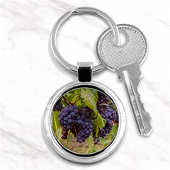 Grapes 4 Key Chains (round)  by trendistuff