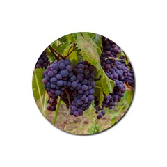 Grapes 4 Rubber Coaster (round)  by trendistuff