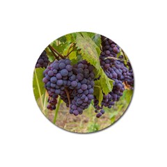 Grapes 4 Magnet 3  (round) by trendistuff