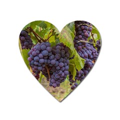 Grapes 4 Heart Magnet by trendistuff